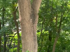 -井塘古村