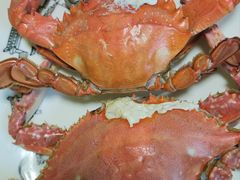 -宾朋海鲜饭庄(兴海路店)