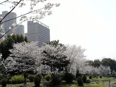 -堤角公园