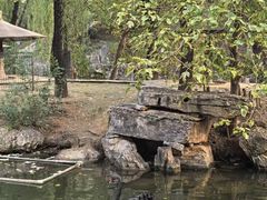 -石家庄市动物园