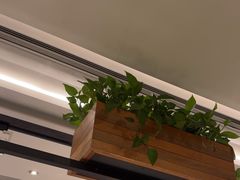 -新旺茶餐厅·早餐·夜宵(仙霞店)