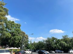 -川道拐耗儿鱼(旗舰店)