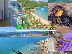 -小梅沙海滨乐园