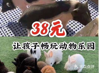 38元让孩子畅玩动物乐园