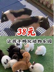 -萌宠亲子动物乐园(槐房万达店)