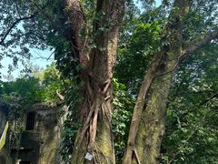 -飞霞风景名胜区