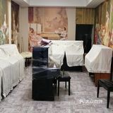 钢琴，教育机构