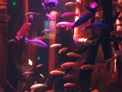 -沈阳海洋探索中心