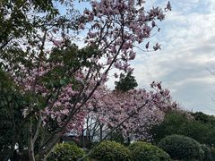 -城市阳台