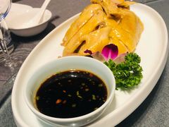 -碧丽宫大酒店(召稼楼店)