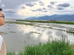-敕勒川草原