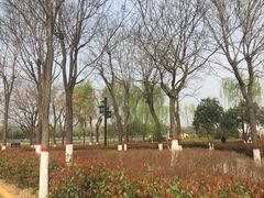 -西安汉城湖景区