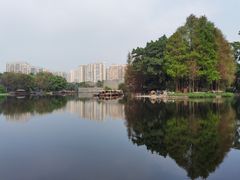 -荔湾湖公园