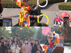 -中国西峡恐龙遗迹园