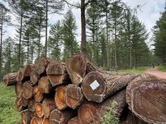 -塞罕坝国家级自然保护区