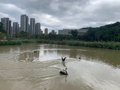 -牛岗山公园