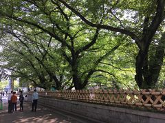 -名古屋城