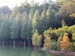 -广州市帽峰山景区
