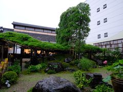 -中村藤吉(本店)