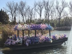 -溱湖国家湿地公园