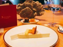 -迪拜帆船酒店海底餐厅