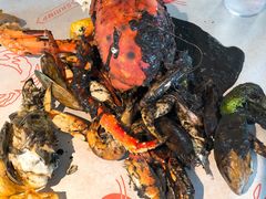 -Catch the Cajun Seafood(表参道店)