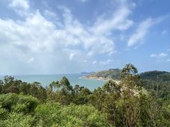 -广东惠东海龟国家级自然保护区