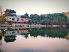 -新概念来凤鱼(璧山店)