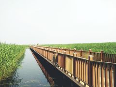 -白洋淀景区