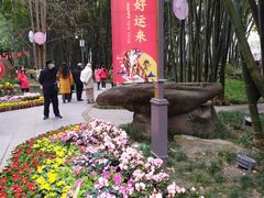 -望江楼公园