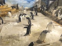 -成都浩海立方海洋公园