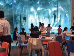 大堂-帝企鹅自助餐厅•儿童岛•真企鹅(长隆企鹅酒店)