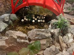 -綱元·海鲜豆捞(明州里店)