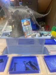 -卡通尼·Safari非洲探索乐园·生日会(金桥国际商业广场店)