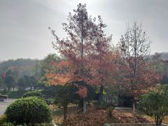 -六合国家地质公园桂子山景区