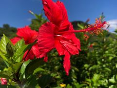 -三亚南山文化旅游区