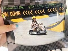 -圣淘沙天际线斜坡滑车
