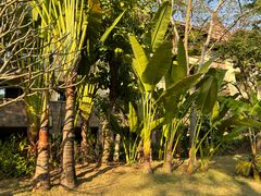 -西双版纳融创皇冠假日度假酒店