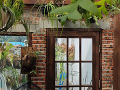 -自由生长植物工作室(深港花卉中心店)
