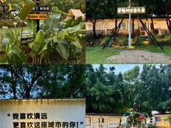 -芭厘农庄老字号·清远鸡