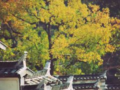 -塔川景区
