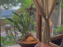 -时光花园(白鹭洲店)