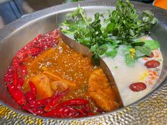 -麻田会 ·鲜活现烹·牛蛙火锅(珠江新城维家思广场店)