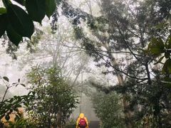 -南岳衡山风景名胜区