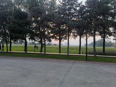 -汉长安城未央宫国家考古遗址公园