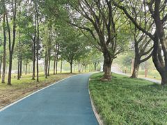 -眉山湿地公园(东坡区)