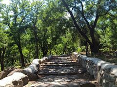 -阳台山自然风景区