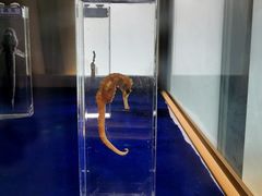 -途易晟曼湾度假酒店(大鹏店)