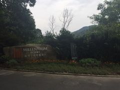 -西湖风景区十里琅珰-五云山