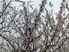 -水西公园